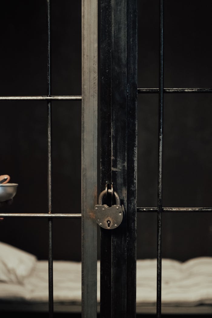 A detailed view of a locked prison cell door with a bed inside.